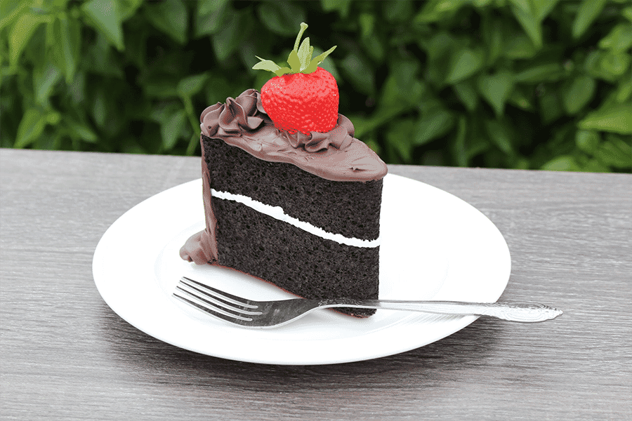 Fake Chocolate Frosted Slice of Chocolate Cake