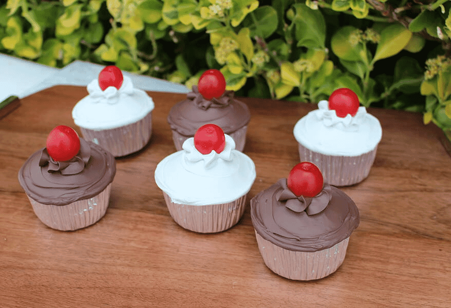 Fake Cupcakes with Chocolate and Vanilla Frosting