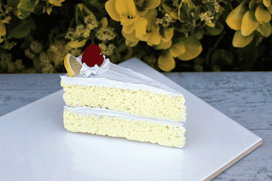 Fake Lemon Cake Slice