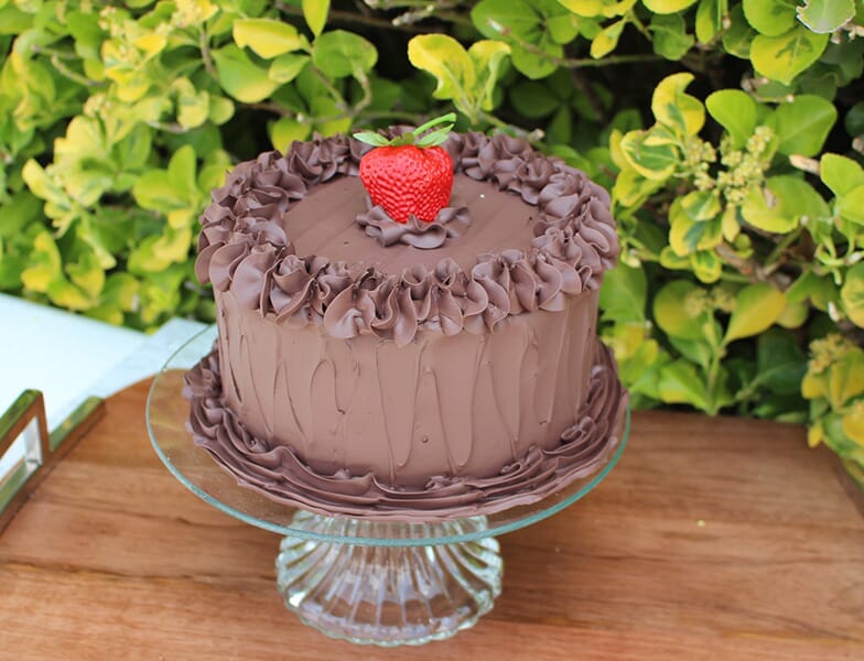 Fake Small Chocolate Frosted Cake