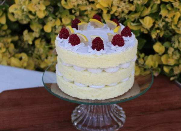 Fake Lemon Layer Cake Topped Vanilla Frosting and Lemon Slices