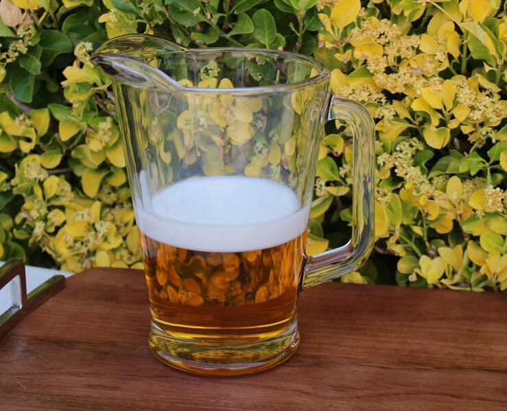 Fake Pitcher of Beer