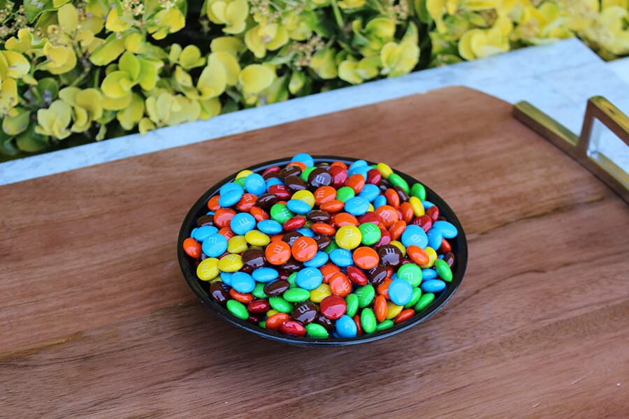Small Bowl of Fake M & M's