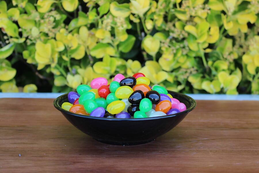 Small Bowl of Fake Jelly Beans