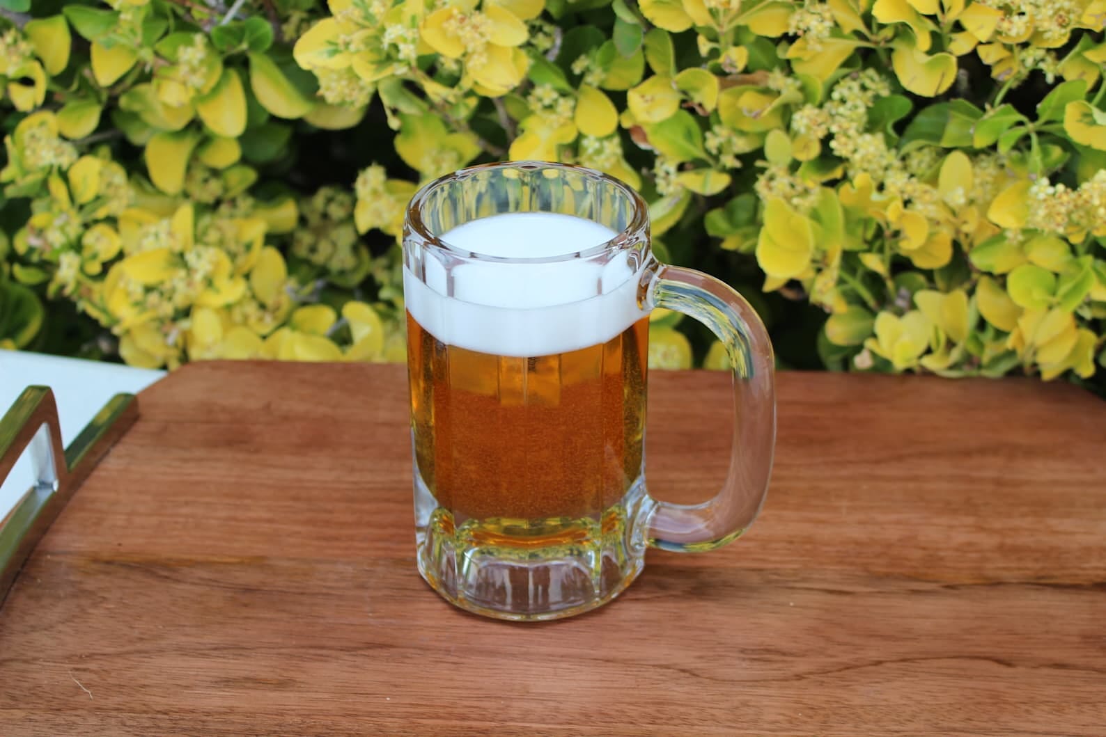 NEW Faux/ Fake Food Full Size Beer Mug cheapest