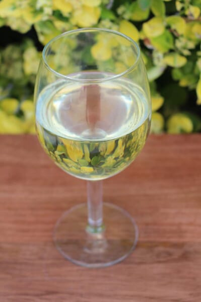 Fake Glass of White Wine