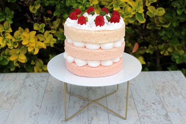 Fake Vanilla Frosted Layer Cake Topped with Raspberries
