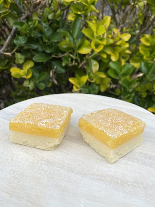 Fake Lemon Squares (Set of 2)