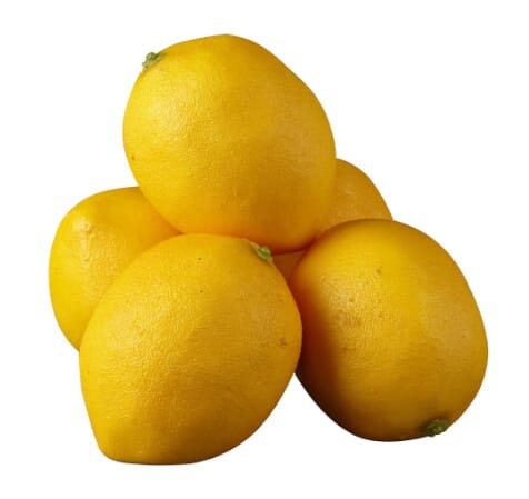 Fake Lemons (Set of 10)