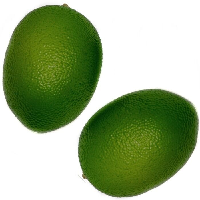 Fake Limes (Set of 6)
