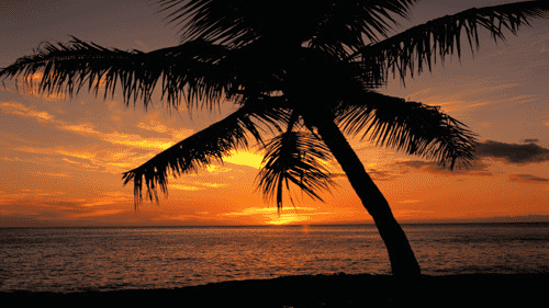 Computer Screen Image #159 Tropical Sunset Screen Image (Image Only. Computer Prop Not Included)