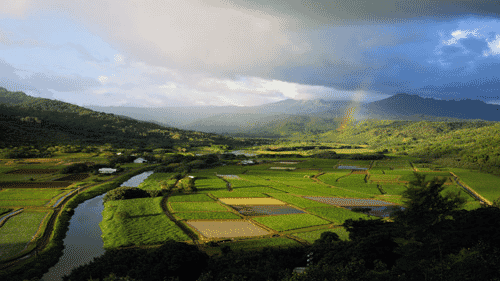 Computer Screen Image #160 Kauai Screen Image (Image Only. Computer Prop Not Included)