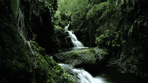 Computer Screen Image #163 Onomea Falls in Hawaii Screen Image (Image Only. Computer Prop Not Included)