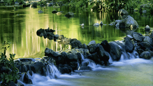 Computer Screen Image #164 Hawaiian Stream Screen Image (Image Only. Computer Prop Not Included)