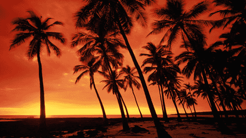 Computer Screen Image #165 Hawaiian Sunset Screen Image (Image Only. Computer Prop Not Included)