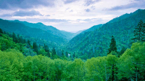 37" TV Screen Image #186 Smokey Mountains (Screen Print Only. 37 Inch TV Prop Not Included)