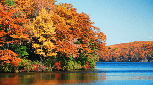 37" TV Screen Image #190 Autumn at the Lake (Screen Print Only. 37 Inch TV Prop Not Included)