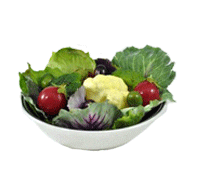 Fake Food Prop Displays: Fake Bowls of Salad, Fake Salad Pieces, Fake Vegetables and Artificial Vegetables for Display by Props America. Fake Lettuce & cabbage.