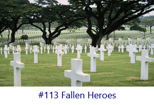 Fallen Heroes Screen Image