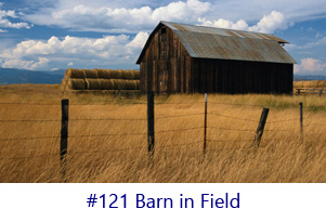 Barn in Field Screen Image