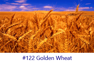 Golden Wheat Screen Image