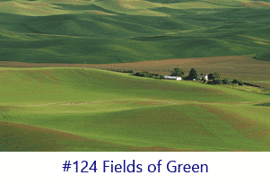 Fields of Green Screen Image