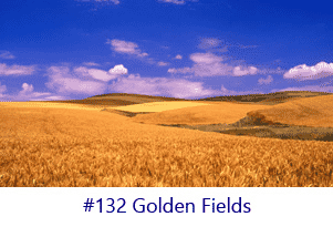 Golden Fields Screen Image