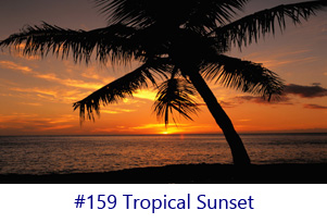 Tropical Sunset Screen Image