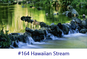 Hawaiian Stream Screen Image