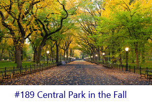 Central Park in the Fall